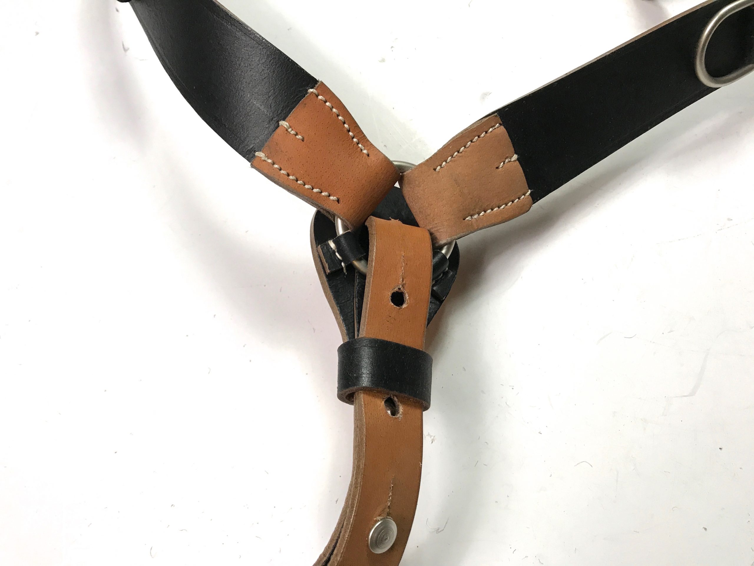 Y' Strap equipment belt support braces, M1939: German Army